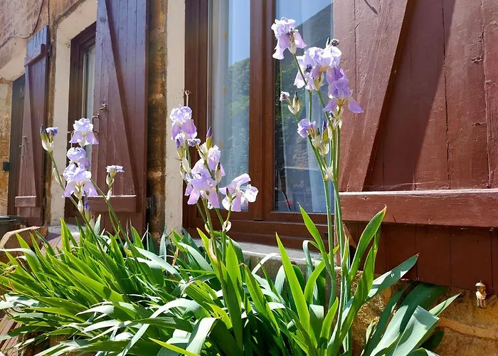 Maison 3 Etoiles Centre Voie Verte 50m Parking 2 Salles Bain * Mouzon (Ardennes)